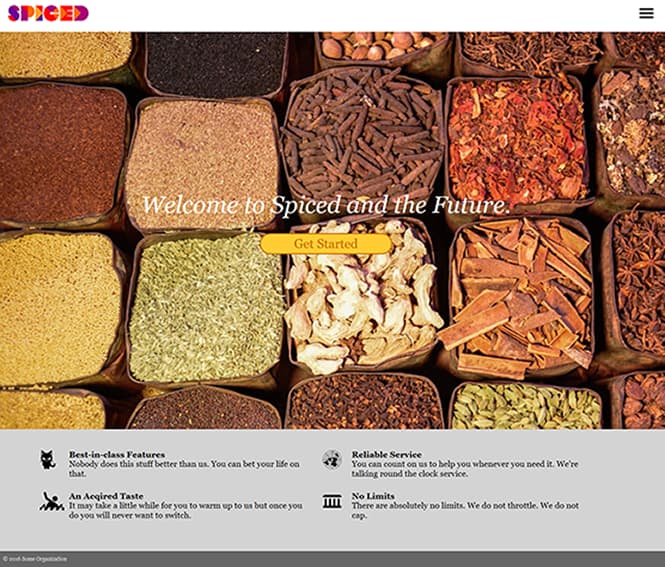 screenshot of spiced homepage